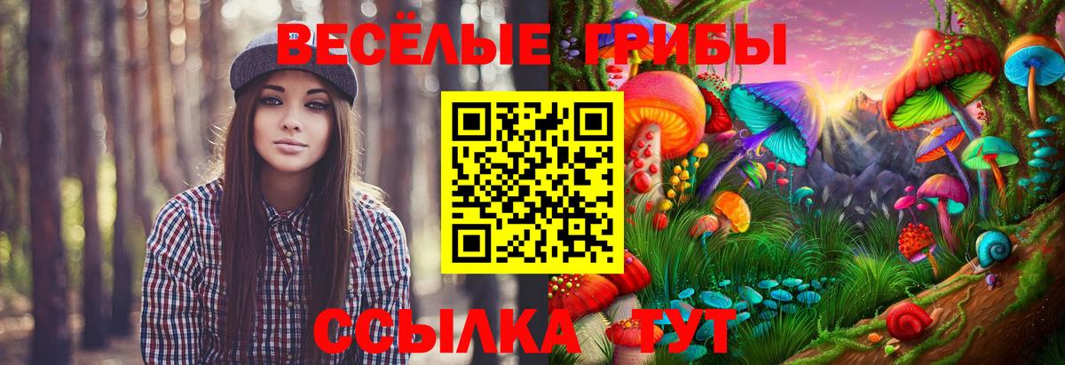 Псилоцибиновые грибы мухоморы Малгобек